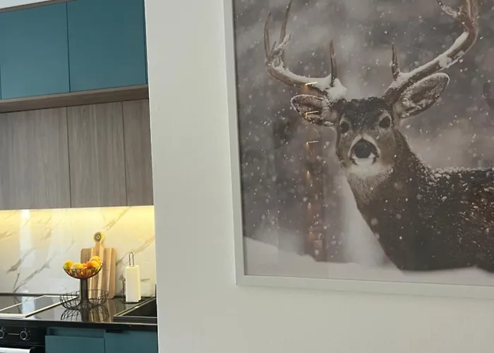 Vucko Delux Bjelasnica